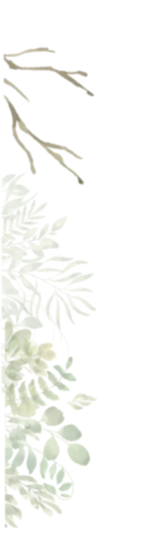 grass plant