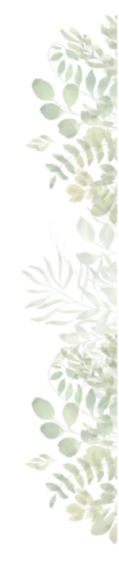grass plants