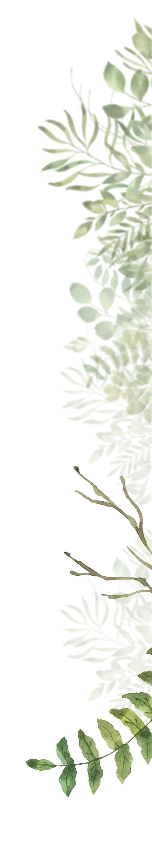 foliage graphic