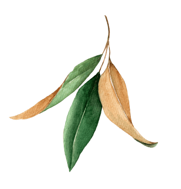 leaf graphic