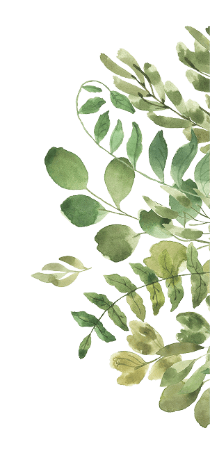 grass plants