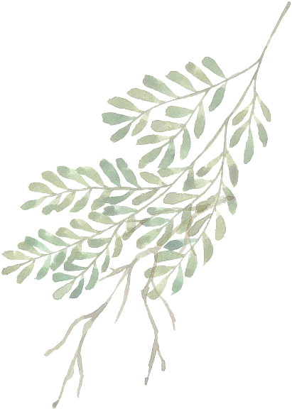 plant graphic