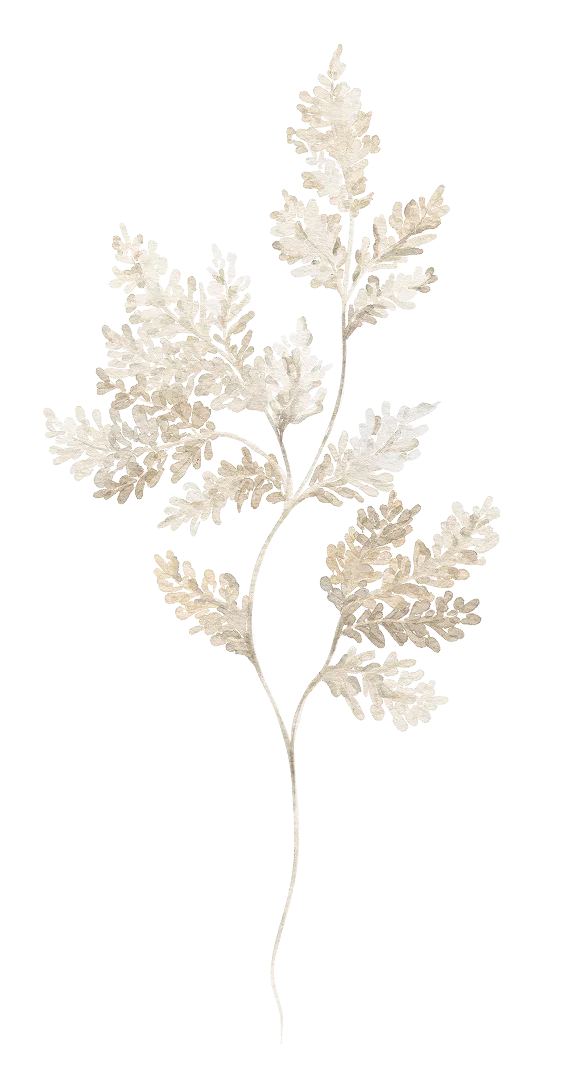 plant graphic