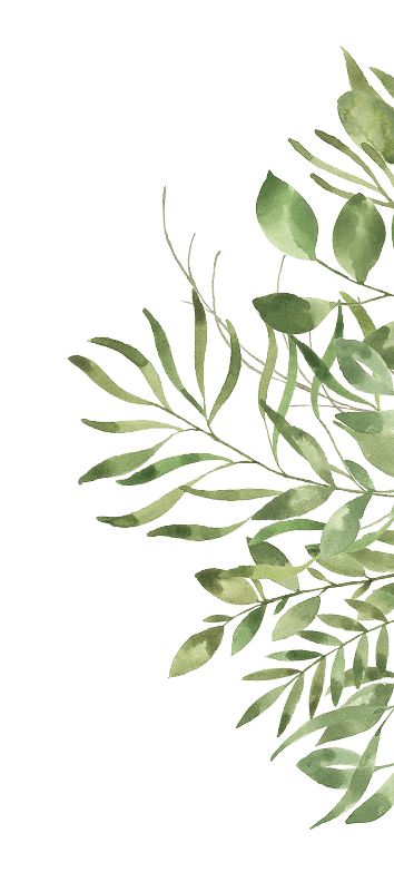grass plants