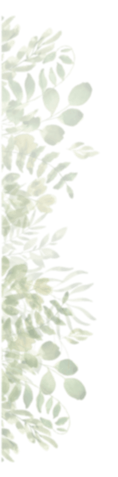 grass plant